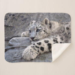 All Played Out Sherpa Blanket