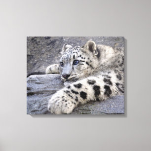 All Played Out Wrapped Canvas Print