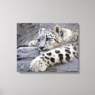 All Played Out Wrapped Canvas Print