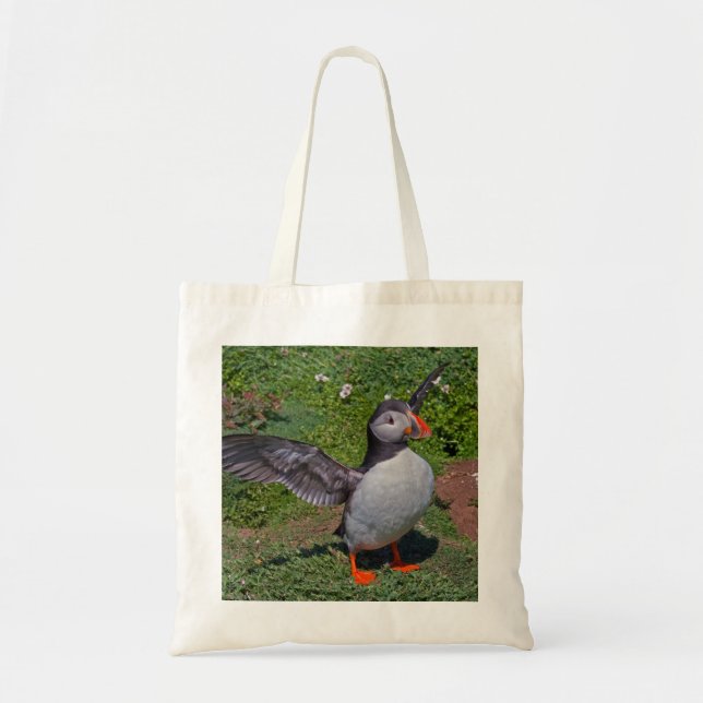 All Puffed Up Bag (Front)