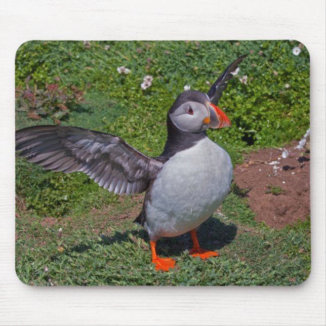 All Puffed Up Mousemat (Front)