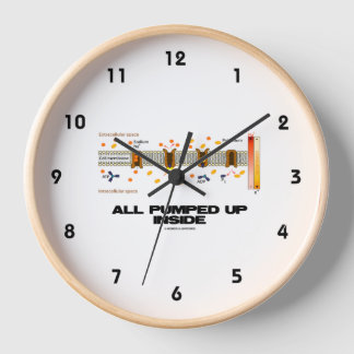All Pumped Up Inside Active Transport Na-K Pump Clock