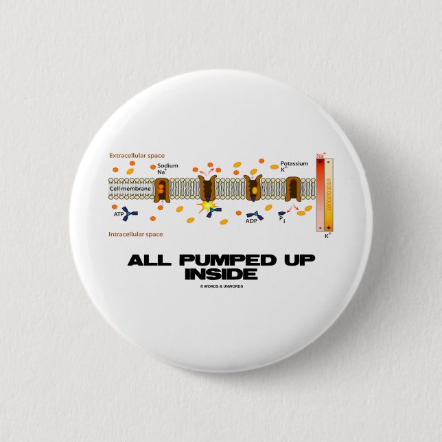All Pumped Up Inside (Sodium-Potassium Pump) 6 Cm Round Badge (Front)