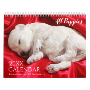 All Puppies 2027 Puppy Dog Wall Cute Calendar