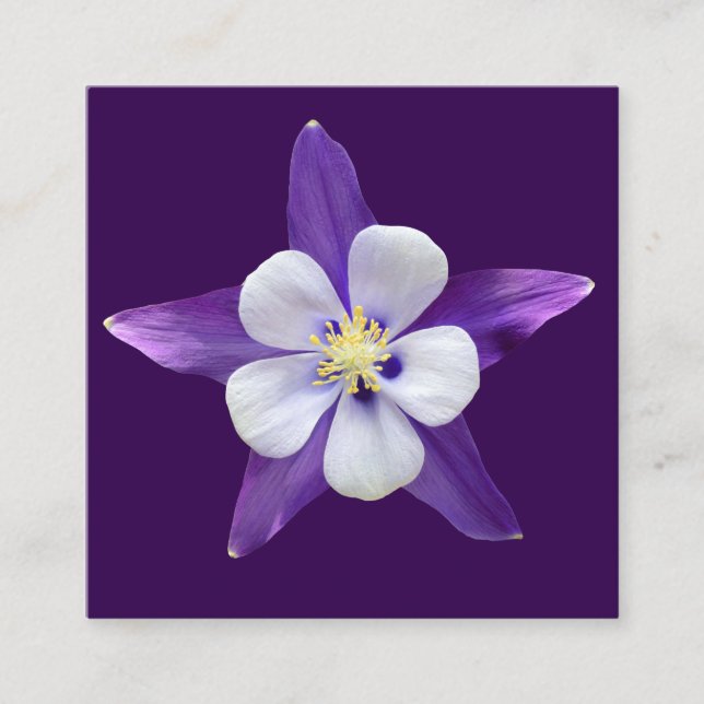 All Purpose Small Square Gift Gards Enclosure Card (Front)