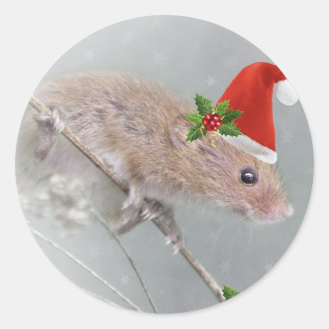 All Set for Santa Sticker (Front)
