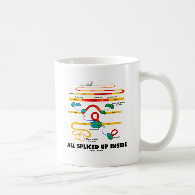 All Spliced Up Inside (RNA Splicing) Coffee Mug (Right)