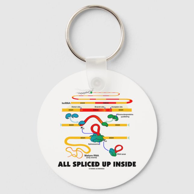 All Spliced Up Inside (RNA Splicing) Key Ring (Front)
