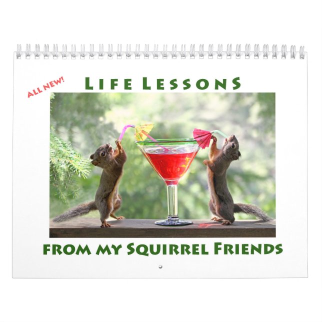 All Star Squirrel Calendar - New Life Lessons (Cover)
