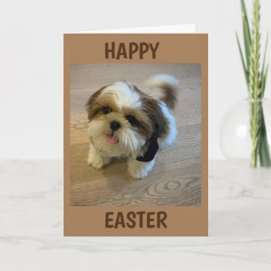 ALL THAT "BRINGS YOU JOY" THIS EASTER HOLIDAY CARD