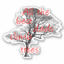 All the best dads climb trees, arborist