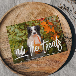 All the Treats   Halloween Pet Photo Card