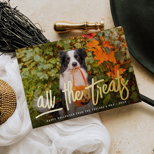 All the Treats | Halloween Pet Photo Foil Holiday Card (Creator Uploaded)