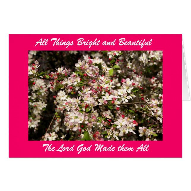 All Things Bright and Beautifu... (Front Horizontal)