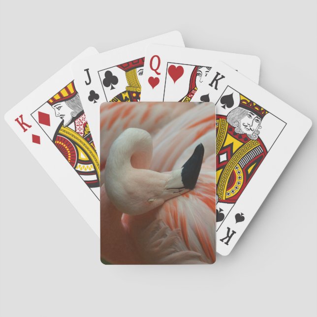 All things Flamingo! Playing Cards (Back)