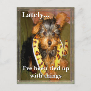 All Tied Up Customisable Postcard