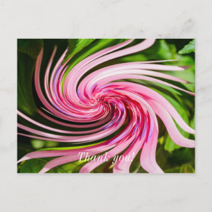 All Twisted Up Postcard