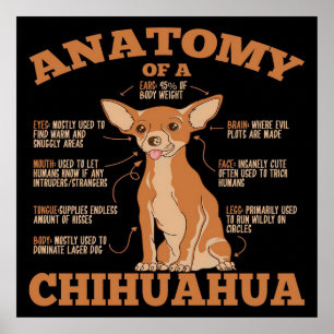 All You Need Chihuahua Dog Chihuahua Lover Poster