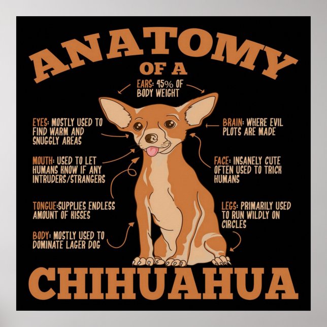 All You Need | Chihuahua Dog | Chihuahua Lover Poster (Front)