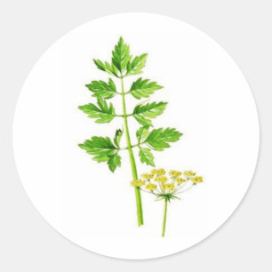 All you need is Lovage Classic Round Sticker