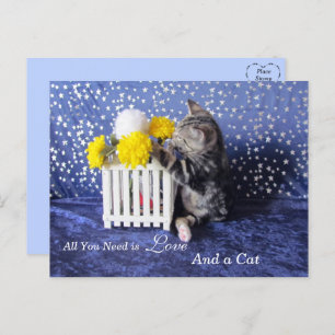 All You Need is Love and a Cat Postcard
