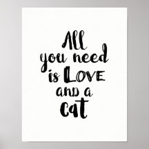 All You Need is Love and a Cat