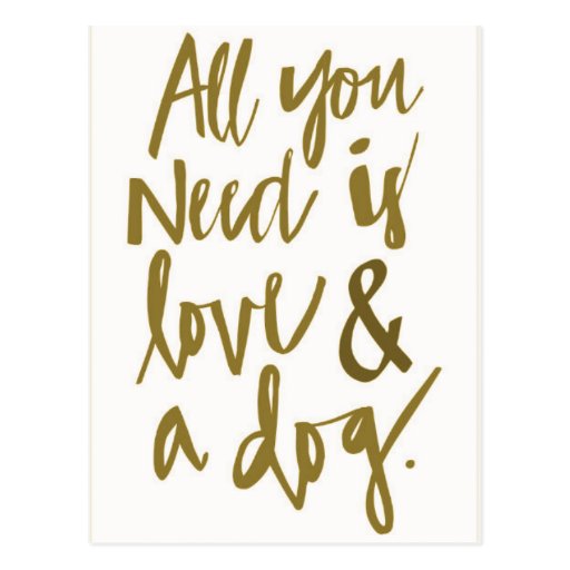 Image of All you need is love and a dog funny truisms happi Postcard