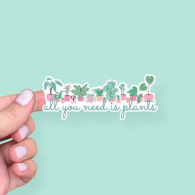 All You Need Is Plants Houseplants  (Creator Uploaded)