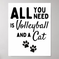 All you need is volleyball and a cat.