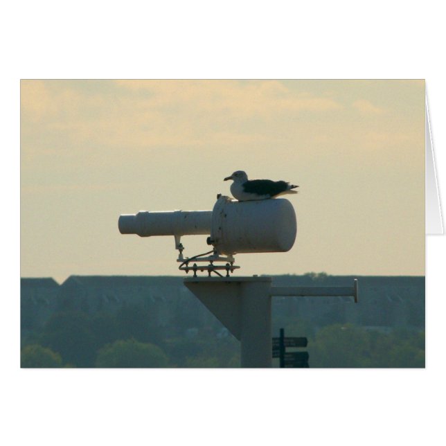 All your Base are Belong to Us (Front Horizontal)