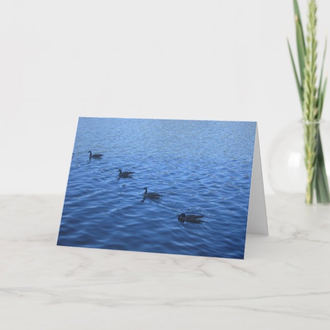 All your ducks in a row card (Front)