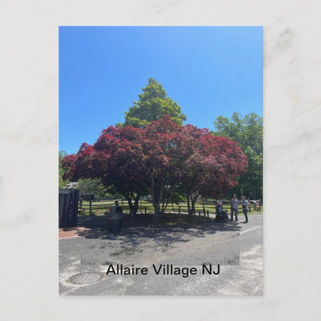 Allaire Village NJ Postcard (Front)