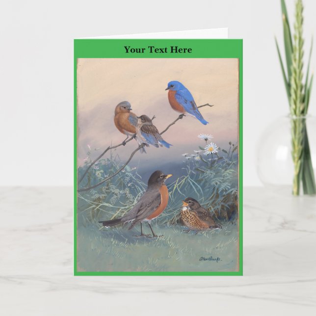 Allan Brooks Birds no1 Thank You Card (Front)