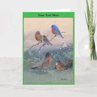 Allan Brooks Birds no1 Thank You Card