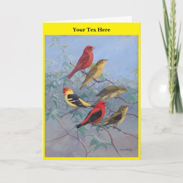 Allan Brooks Birds no3 Thank You Card (Front)