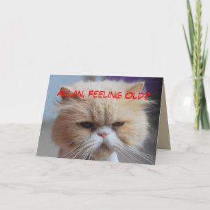 Allan Brother Birthday Persian Cat Humour Card