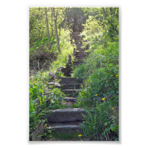 Allan Park, Sowerby Bridge, Stone Steps Photo Print