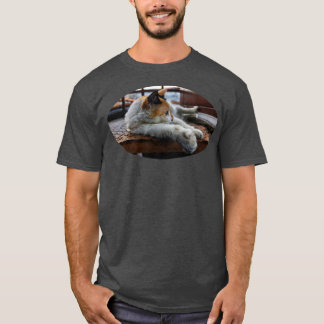 allcats are beautiful T-Shirt