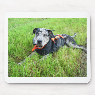 alldogscatch mouse mat