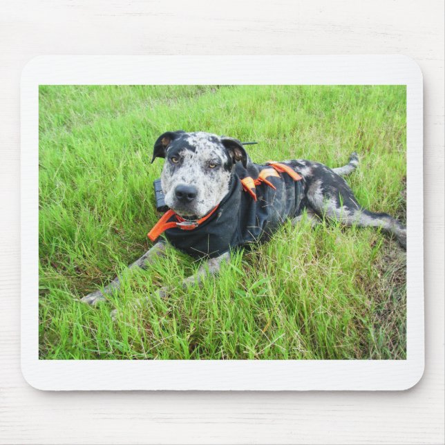 alldogscatch mouse mat (Front)