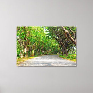 Allee Tree Lined Path Landscape Travel Photography Canvas Print