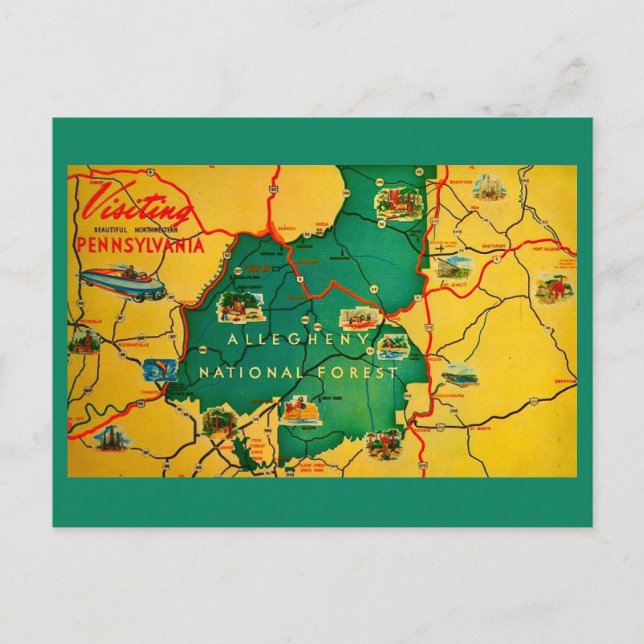 Allegheny National Forest Postcard (Front)