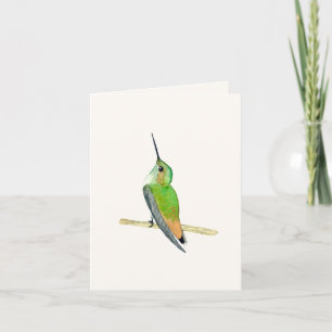 Allen's Hummingbird Card