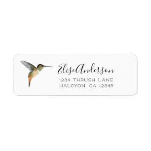 Allen's Hummingbird Return Address Label