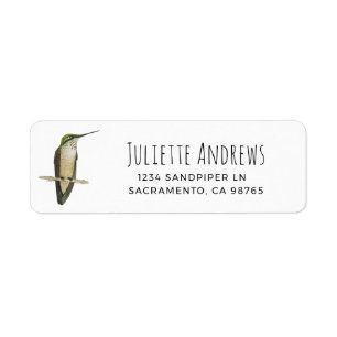 Allen's Hummingbird Return Label