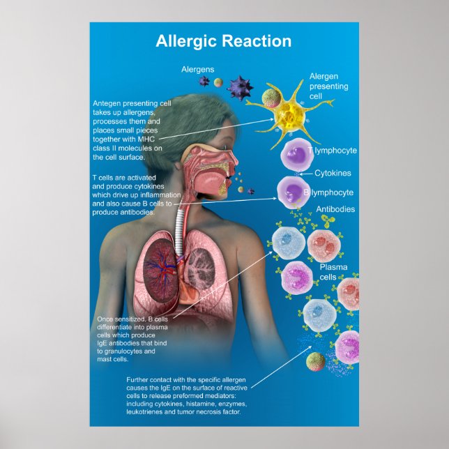 Allergic Reaction poster (Front)