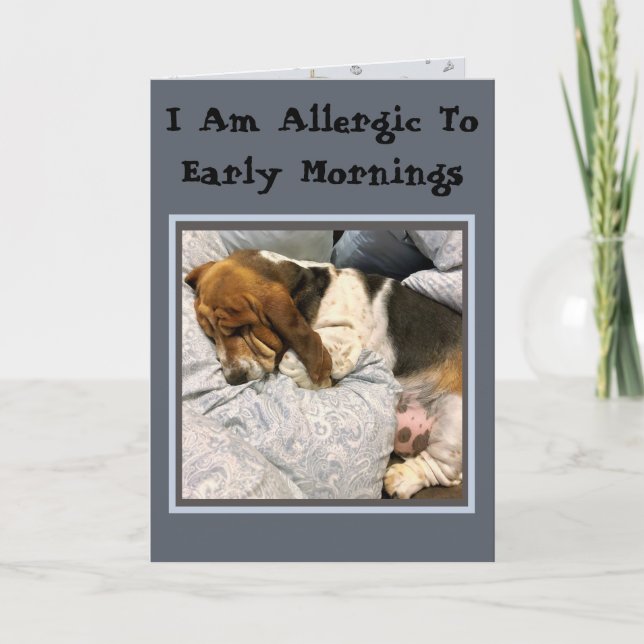 "Allergic To Mornings" Basset Birthday Card (Front)