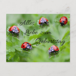 Alles Liebe zum Geburtstag! Postcard