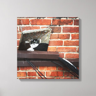 alley cat art canvas print