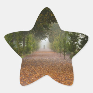 Alley in fog star sticker